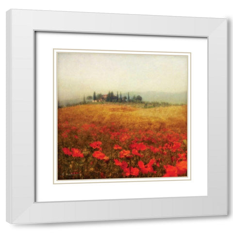 Tuscan Poppies White Modern Wood Framed Art Print with Double Matting by Melious, Amy