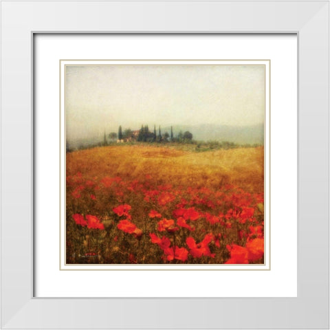 Tuscan Poppies White Modern Wood Framed Art Print with Double Matting by Melious, Amy