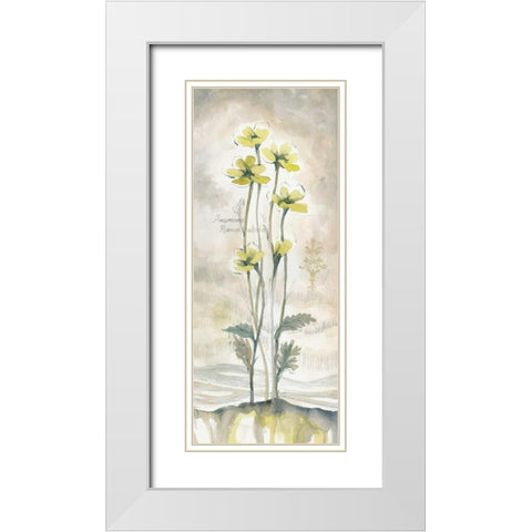 Yellow Blossoms II White Modern Wood Framed Art Print with Double Matting by Ferry, Margaret