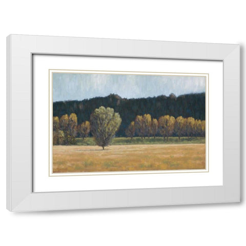 Cottonwood Country I White Modern Wood Framed Art Print with Double Matting by Macnab, John