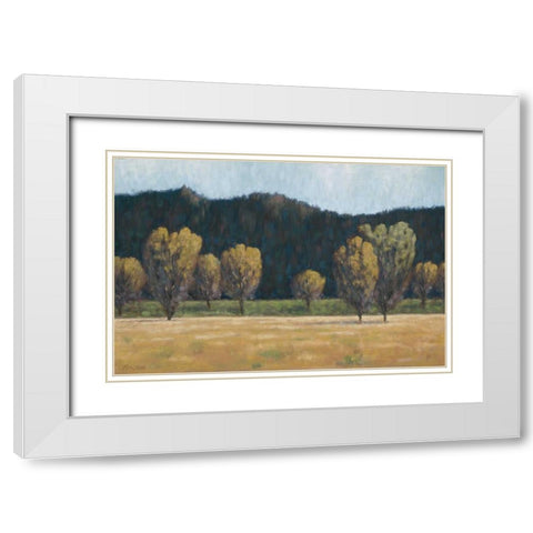 Cottonwood Country II White Modern Wood Framed Art Print with Double Matting by Macnab, John