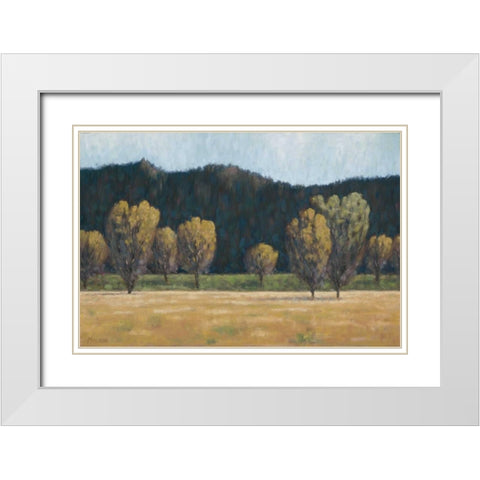 Cottonwood Country II White Modern Wood Framed Art Print with Double Matting by Macnab, John