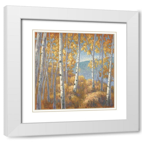 Fall Aspen I White Modern Wood Framed Art Print with Double Matting by Macnab, John