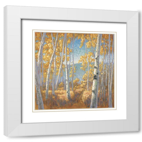 Fall Aspen I White Modern Wood Framed Art Print with Double Matting by Macnab, John