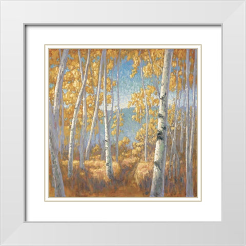 Fall Aspen I White Modern Wood Framed Art Print with Double Matting by Macnab, John
