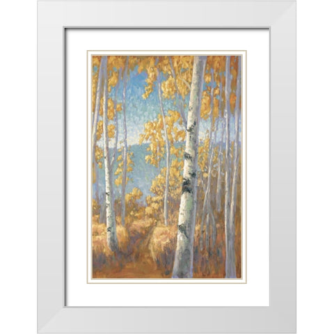 Aspen Forest II White Modern Wood Framed Art Print with Double Matting by Macnab, John