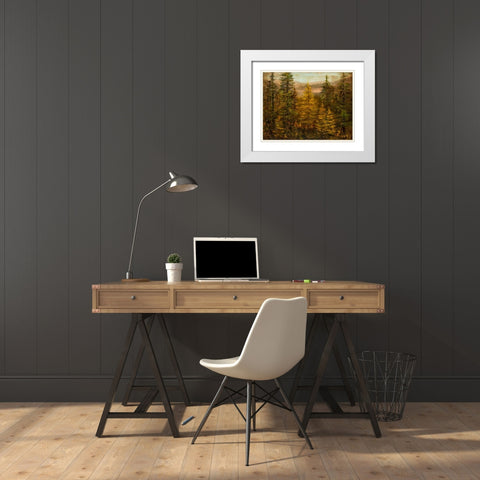 Tamarack Season White Modern Wood Framed Art Print with Double Matting by Monahan, Jodi