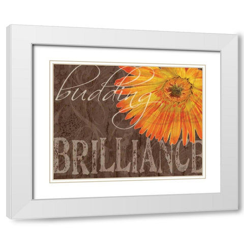 Gerbera II White Modern Wood Framed Art Print with Double Matting by Murray, Sylvia
