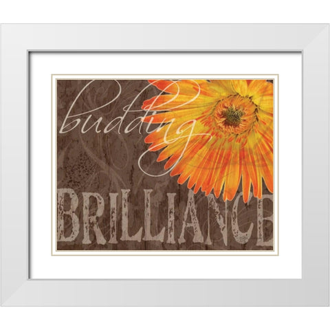 Gerbera II White Modern Wood Framed Art Print with Double Matting by Murray, Sylvia