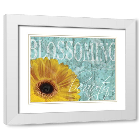 Gerbera IV White Modern Wood Framed Art Print with Double Matting by Murray, Sylvia