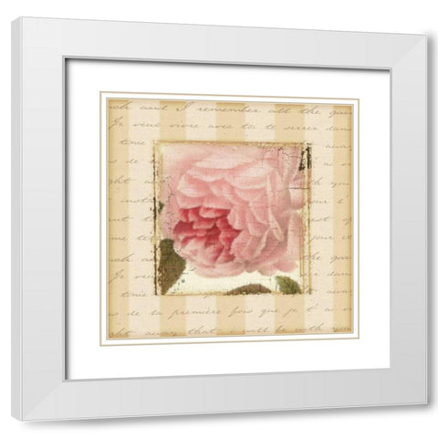 Rose and Romance II White Modern Wood Framed Art Print with Double Matting by Pela Design