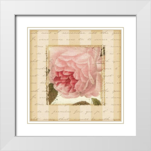 Rose and Romance II White Modern Wood Framed Art Print with Double Matting by Pela Design