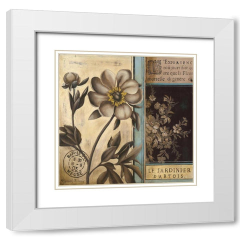 Belle Fleur II White Modern Wood Framed Art Print with Double Matting by Poloson, Kimberly