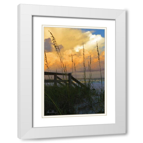 Majestic Coast I White Modern Wood Framed Art Print with Double Matting by Williams, Alex