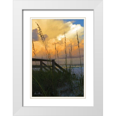 Majestic Coast I White Modern Wood Framed Art Print with Double Matting by Williams, Alex