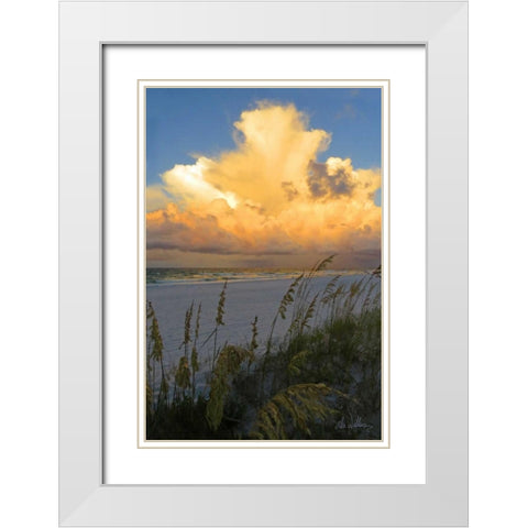 Majestic Coast II White Modern Wood Framed Art Print with Double Matting by Williams, Alex