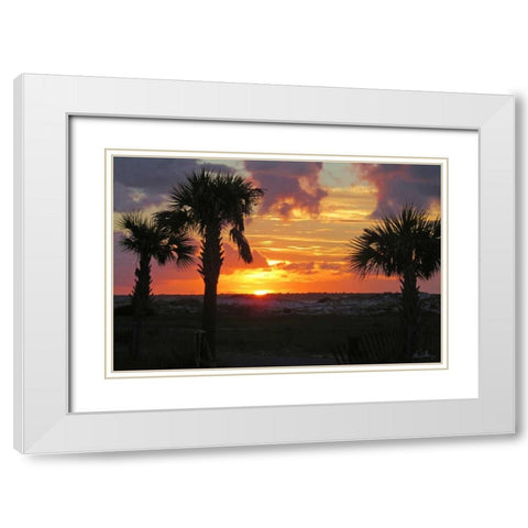Sunset Palms I White Modern Wood Framed Art Print with Double Matting by Williams, Alex