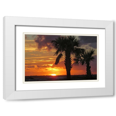 Sunset Palms II White Modern Wood Framed Art Print with Double Matting by Williams, Alex