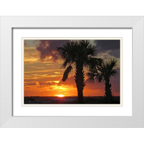 Sunset Palms II White Modern Wood Framed Art Print with Double Matting by Williams, Alex