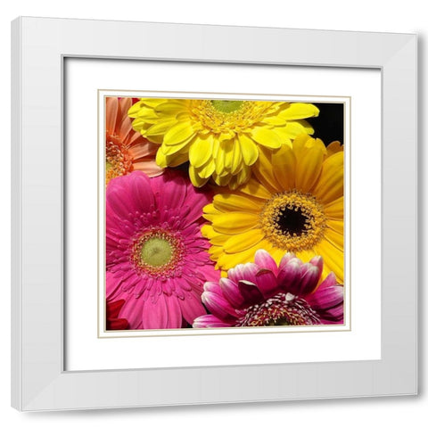 Spring Potpourri I White Modern Wood Framed Art Print with Double Matting by Burkhart, Monika