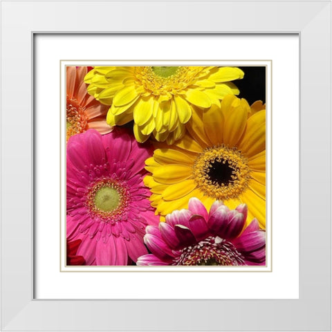 Spring Potpourri I White Modern Wood Framed Art Print with Double Matting by Burkhart, Monika