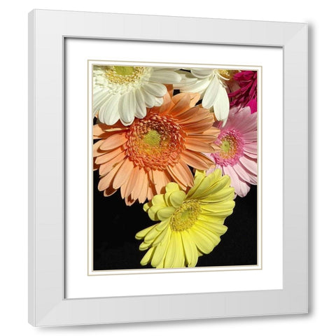 Spring Potpourri III White Modern Wood Framed Art Print with Double Matting by Burkhart, Monika