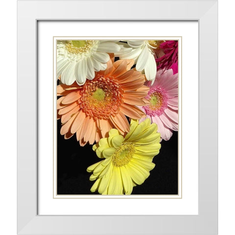 Spring Potpourri III White Modern Wood Framed Art Print with Double Matting by Burkhart, Monika