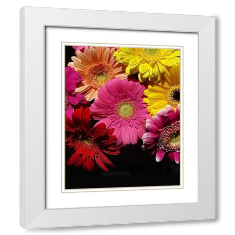 Spring Potpourri IV White Modern Wood Framed Art Print with Double Matting by Burkhart, Monika