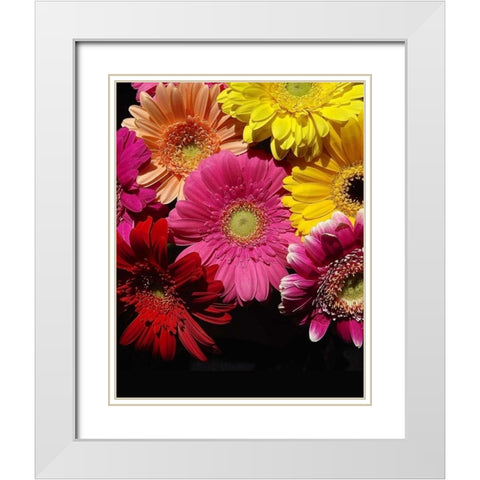 Spring Potpourri IV White Modern Wood Framed Art Print with Double Matting by Burkhart, Monika