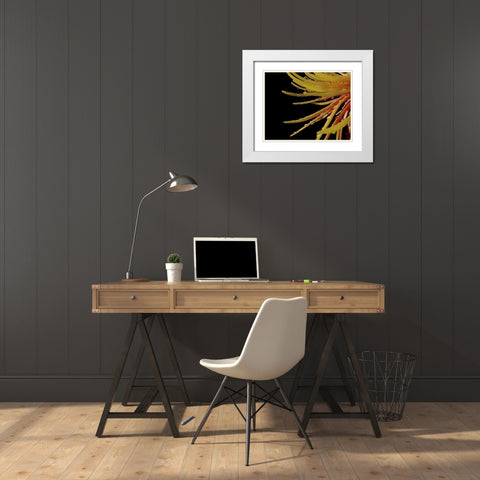 Sun Dance II White Modern Wood Framed Art Print with Double Matting by Burkhart, Monika