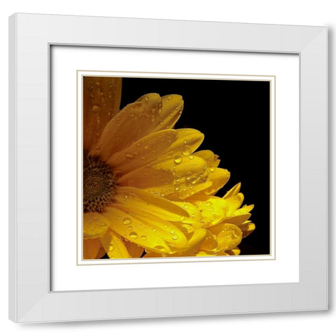 Sun Sparkled I White Modern Wood Framed Art Print with Double Matting by Burkhart, Monika