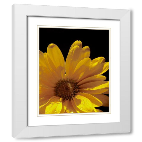 Sun Sparkled III White Modern Wood Framed Art Print with Double Matting by Burkhart, Monika