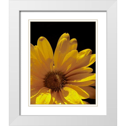 Sun Sparkled III White Modern Wood Framed Art Print with Double Matting by Burkhart, Monika