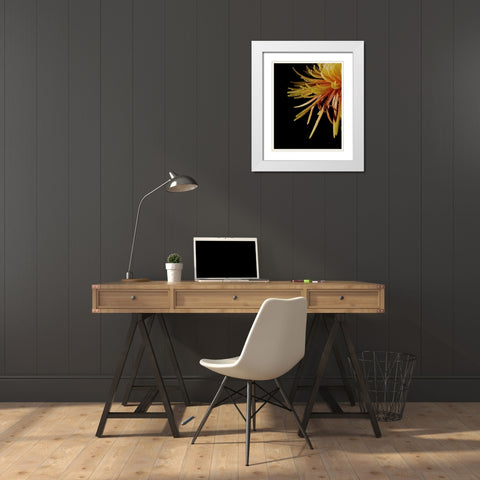 Sun Dance III White Modern Wood Framed Art Print with Double Matting by Burkhart, Monika