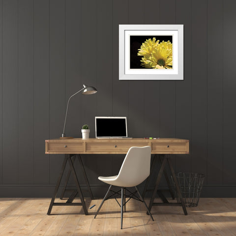 Yellow Daisy II White Modern Wood Framed Art Print with Double Matting by Burkhart, Monika