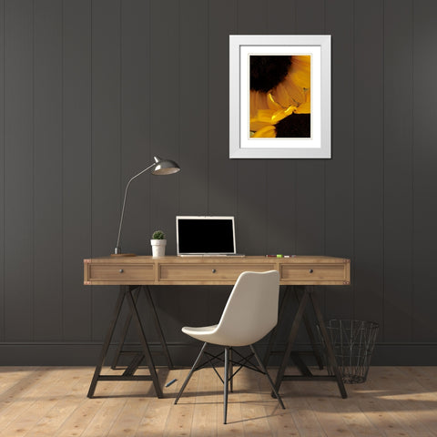 Sunflowers IX White Modern Wood Framed Art Print with Double Matting by Burkhart, Monika