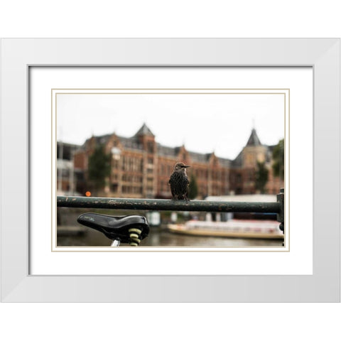 Perched I White Modern Wood Framed Art Print with Double Matting by Berzel, Erin