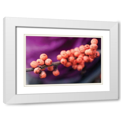 Wild Berries I White Modern Wood Framed Art Print with Double Matting by Berzel, Erin