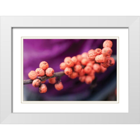 Wild Berries I White Modern Wood Framed Art Print with Double Matting by Berzel, Erin