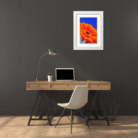Compliments II White Modern Wood Framed Art Print with Double Matting by Berzel, Erin