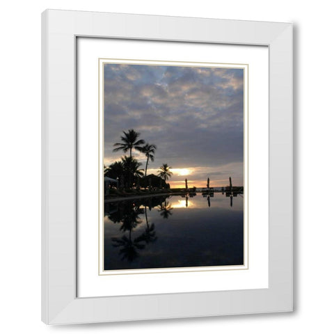 Tropical Paradise White Modern Wood Framed Art Print with Double Matting by Berzel, Erin