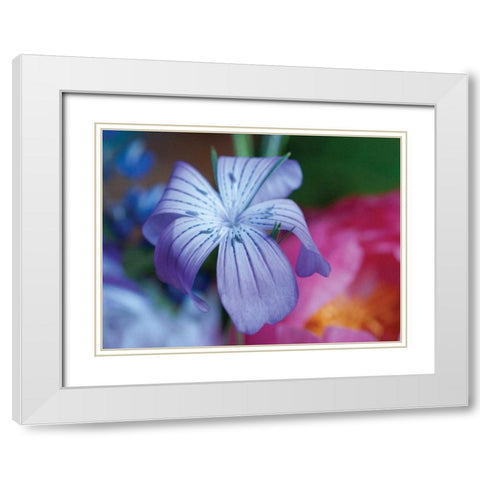 Delicate Flower I White Modern Wood Framed Art Print with Double Matting by Berzel, Erin