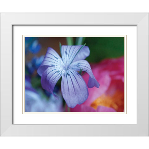 Delicate Flower I White Modern Wood Framed Art Print with Double Matting by Berzel, Erin
