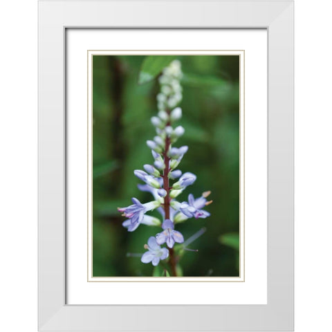 In the Garden I White Modern Wood Framed Art Print with Double Matting by Berzel, Erin