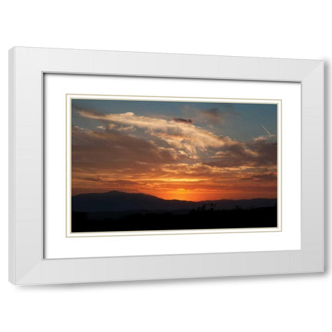 Sunset in Joshua Tree I White Modern Wood Framed Art Print with Double Matting by Berzel, Erin
