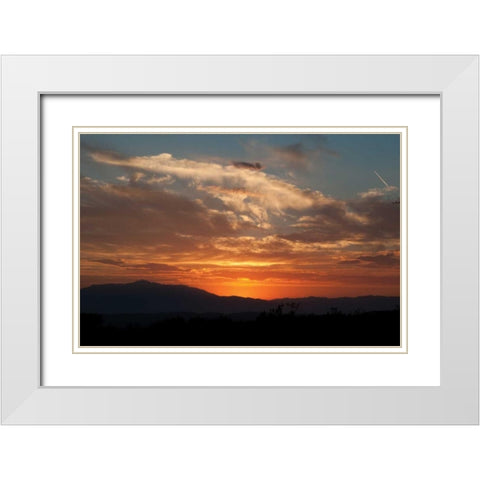 Sunset in Joshua Tree I White Modern Wood Framed Art Print with Double Matting by Berzel, Erin