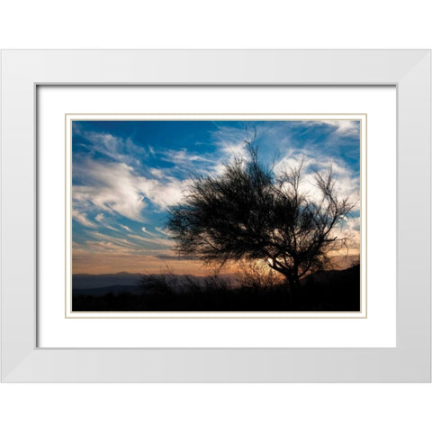 Sunset in Joshua Tree I White Modern Wood Framed Art Print with Double Matting by Berzel, Erin