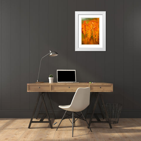 Fall Leaves I White Modern Wood Framed Art Print with Double Matting by Berzel, Erin