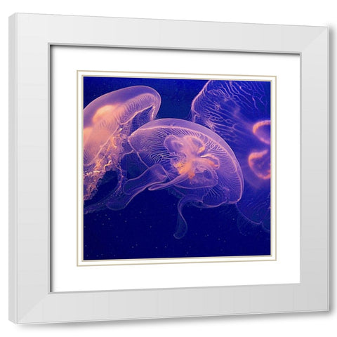 Jellyfish Dance I White Modern Wood Framed Art Print with Double Matting by Crane, Rita