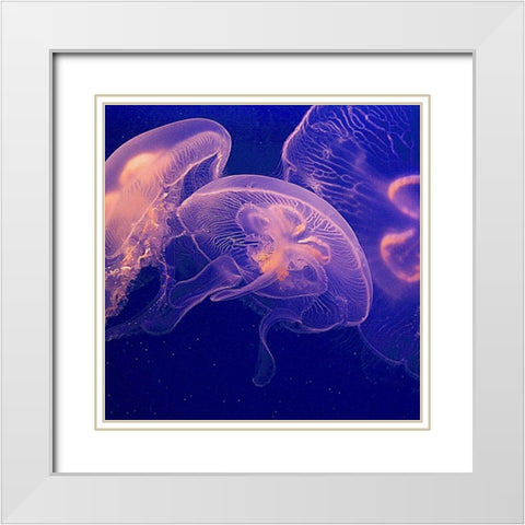 Jellyfish Dance I White Modern Wood Framed Art Print with Double Matting by Crane, Rita